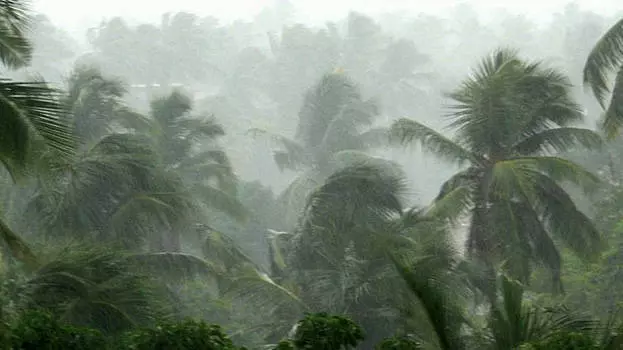 സംസ്ഥാനത്ത് മഴ തുടരും; ലക്ഷദ്വീപിനും അറബികടലിനും സമീപത്തായി ചക്രവാതചുഴി, 4 ജില്ലകളിൽ ജാഗ്രത നിർദ്ദേശം