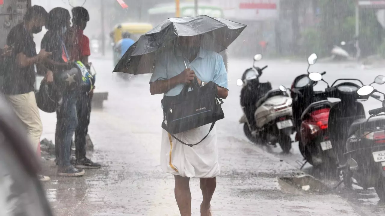 സംസ്ഥാനത്ത് ശക്തമായ മഴയ്ക്ക് സാധ്യത,10 ജില്ലകളില്‍ ഇന്ന് യെല്ലോ അലേര്‍ട്ട്