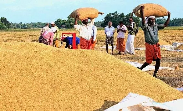 നെല്ല് സംഭരണ പ്രതിസന്ധി: കളക്ട്രേറ്റിലേക്ക് സമരം വ്യാപിപ്പിച്ച് കർഷകർ