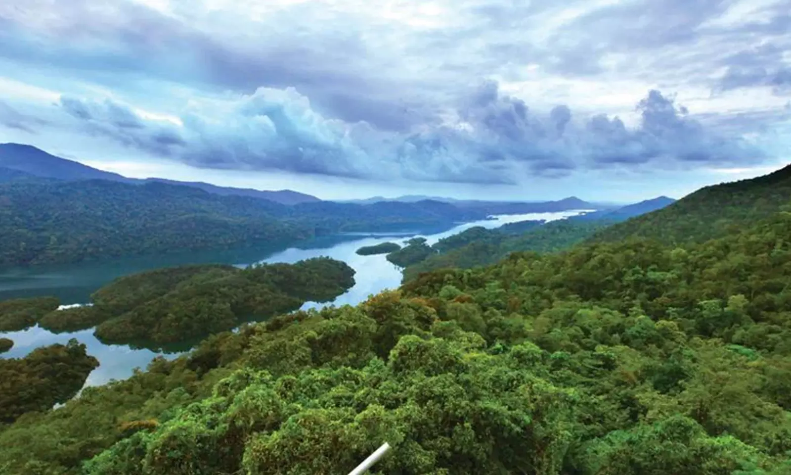 വനാതിർത്തിയിൽ നിന്ന് വനത്തിനുള്ളിലേക്ക് ബഫർസോൺ നിശ്ചയിക്കണം; ബത്തേരി നഗരസഭ