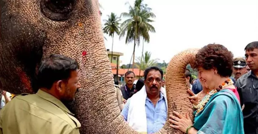 സമൂഹമാധ്യമത്തിൽ തരംഗമായി പ്രിയങ്ക ഗാന്ധിയുടെ പോസ്റ്റ്