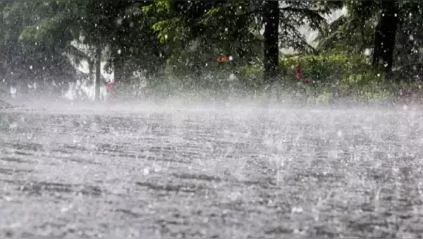 കേരളത്തിൽ മഴ കനക്കുന്നു; മരങ്ങൾ കടപുഴകി വീണ് അപകടം