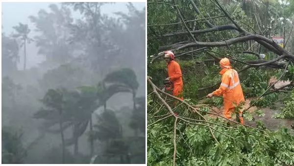 പാലക്കാട് മിന്നൽ ചുഴലി; വ്യാപക നാശനഷ്ടം