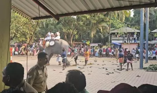 ഉത്സവത്തിനിടെ ആന ഇടഞ്ഞു: മലപ്പുറത്ത്  തിക്കിലും തിരക്കിലും ഇരുപതോളം പേർക്കു പരുക്ക്