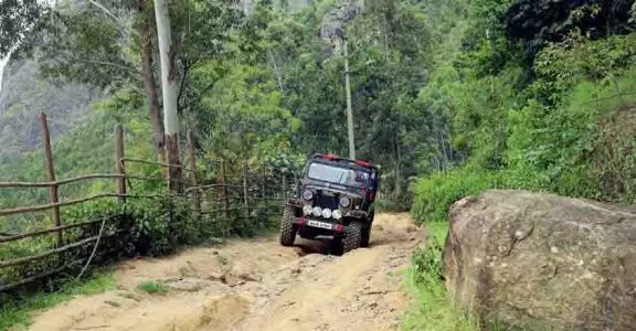 വന്യമൃഗ ശല്യം; ഇടുക്കി ചിന്നക്കനാലിലും മറയൂരിലും ജീപ്പ് സഫാരിക്ക് നിയന്ത്രണം