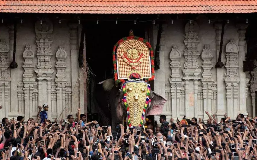 അപകടകാരികളായ ആനകളെ നഗരാതിർത്തിയിൽപ്പോലും പ്രവേശിപ്പിക്കരുത്; പൂരത്തിന് പ്രത്യേക ഉത്തരവ്