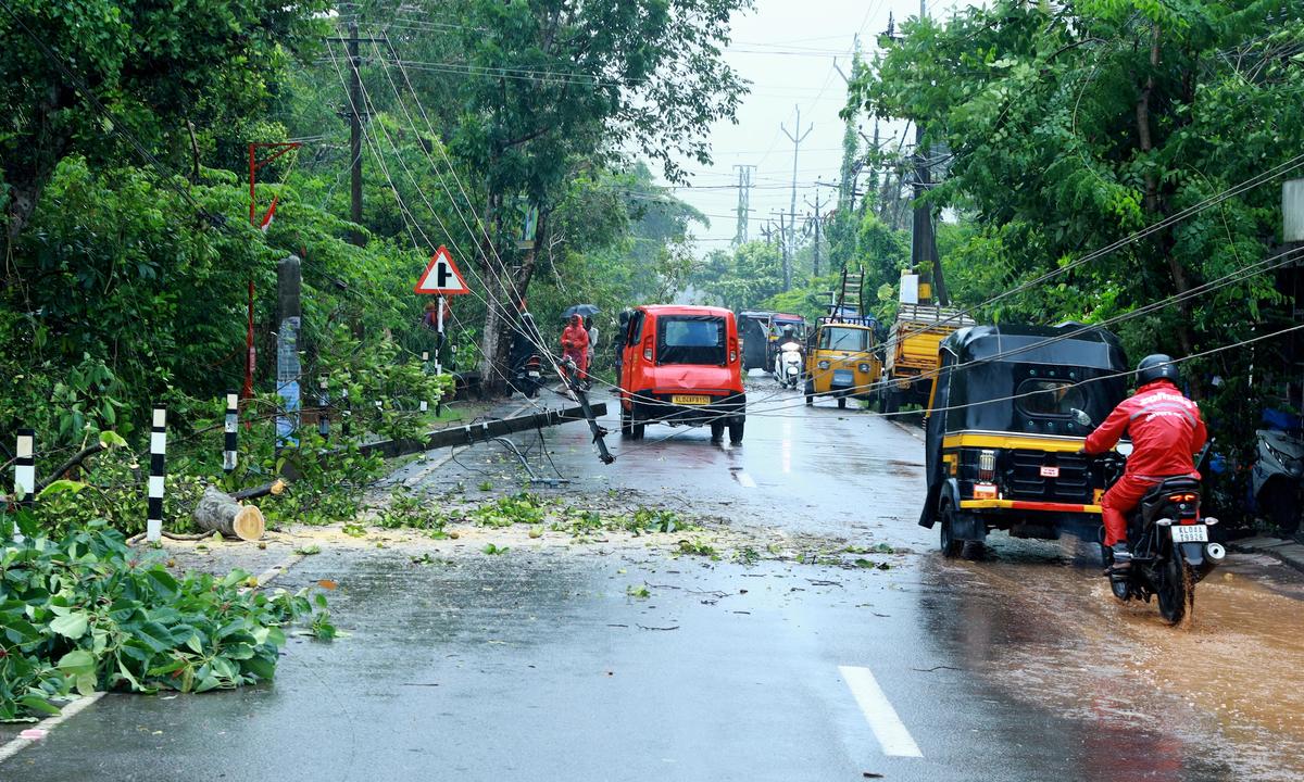 ശക്തമായ കാറ്റും മഴയും ; ആലപ്പുഴയിലെ വിവിധ പ്രദേശങ്ങളിൽ നാശനഷ്ടം സംഭവിച്ചു