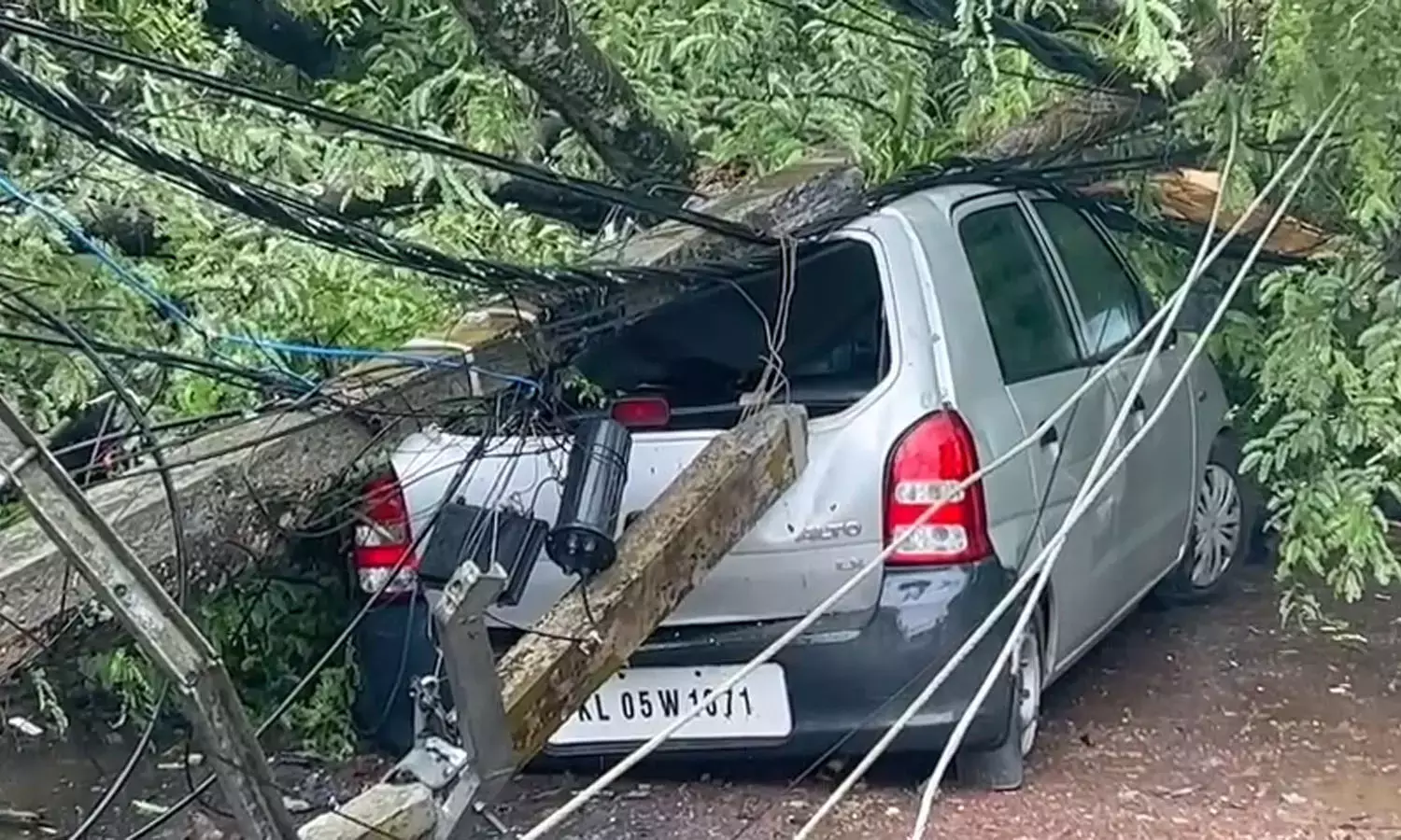 കോട്ടയം പെരുന്നയിൽ നിർത്തിയിട്ടിരുന്ന കാറിന് മുകളിലേക്ക് മരം മറിഞ്ഞ് വീണു ; യാത്രക്കാരൻ തലനാരിഴയ്ക്ക് രക്ഷപ്പെട്ടു