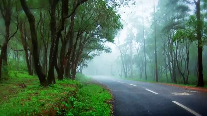 പൊന്മുടി ഇക്കോ ടൂറിസത്തിലേക്കുള്ള യാത്ര നിരോധിച്ചു