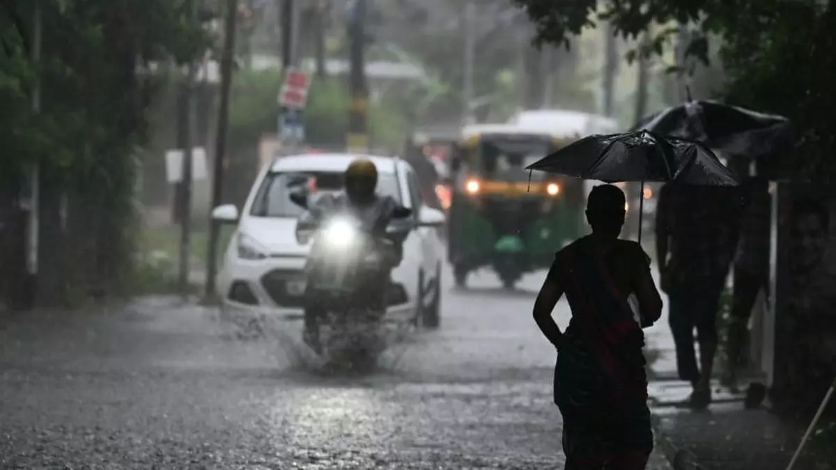 സംസ്ഥാനത്ത് ഇന്നും പരക്കെ മഴയ്ക്ക് സാധ്യത; 7 ജില്ലകളിൽ യെല്ലോ അലർട്ട്