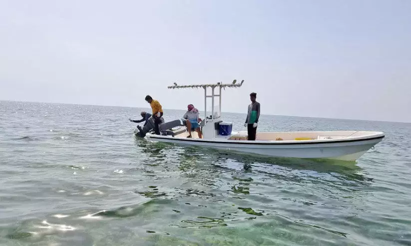 ഖത്തറിൽ കടലിൽ പരിശോധനയുമായി പരിസ്ഥിതി മന്ത്രാലയം