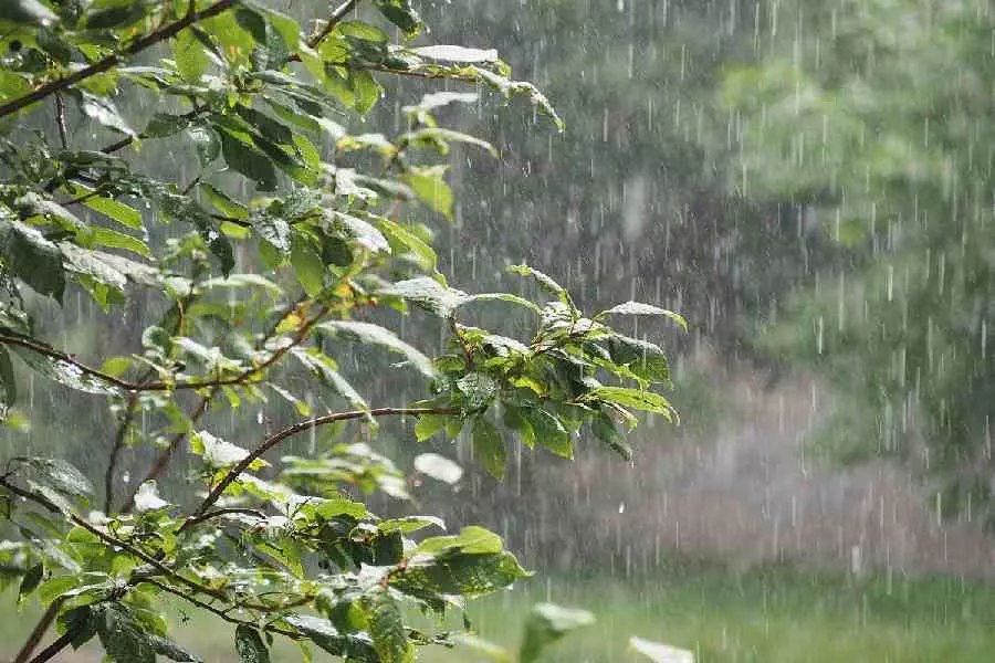 കേരളത്തിൽ ഇന്ന് അതിശക്തമായ മഴയ്ക്ക് സാധ്യത ; 11 ജില്ലകളിൽ മഴ മുന്നറിയിപ്പ്