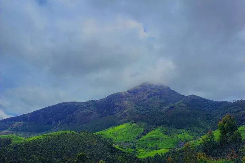 മൂന്നാർ ചൊക്രമുടിയിൽ കയ്യേറ്റം നടന്നത് റവന്യൂ ഭൂമിയിൽ; അന്വേഷണ സംഘത്തിന്റെ റിപ്പോർട്ട് പുറത്ത്