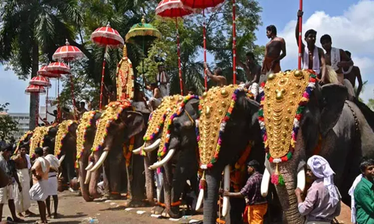 ആനകളുടെ എഴുന്നള്ളിപ്പ് ; സുപ്രധാനമായ മാർഗ നിർദേശങ്ങളുമായി കേരള ഹൈക്കോടതി