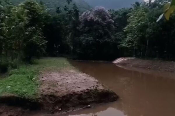 പാലക്കാട്ട് സഹോദരങ്ങൾ ഉൾപ്പെടെ മൂന്നു കുട്ടികൾ കുളത്തിൽ മുങ്ങിമരിച്ചു